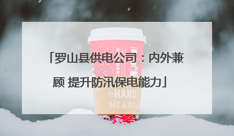罗山县供电公司：内外兼顾 提升防汛保电能力