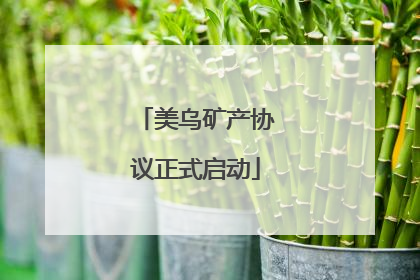 美乌矿产协议正式启动