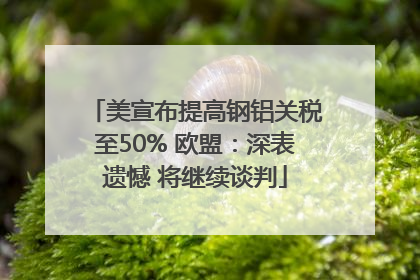 美宣布提高钢铝关税至50% 欧盟：深表遗憾 将继续谈判