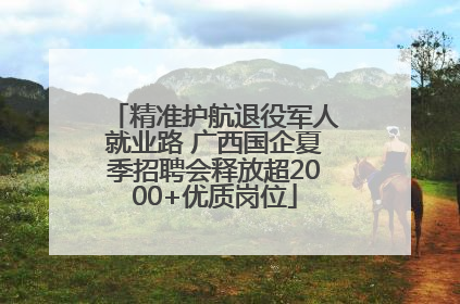 精准护航退役军人就业路 广西国企夏季招聘会释放超2000+优质岗位