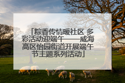 粽香传情暖社区 多彩活动迎端午——威海高区怡园街道开展端午节主题系列活动