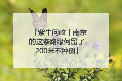 紫牛问政｜南京的这条路缘何留了200米不种树