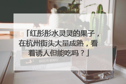 红彤彤水灵灵的果子，在杭州街头大量成熟，看着诱人但能吃吗？