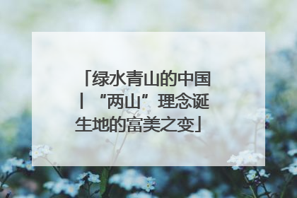 绿水青山的中国丨“两山”理念诞生地的富美之变