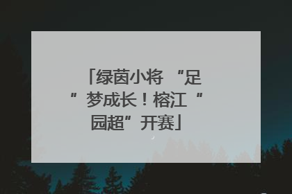 绿茵小将 “足”梦成长！榕江“园超”开赛
