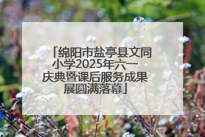 绵阳市盐亭县文同小学2025年六一庆典暨课后服务成果展圆满落幕