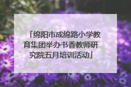绵阳市成绵路小学教育集团举办书香教师研究院五月培训活动