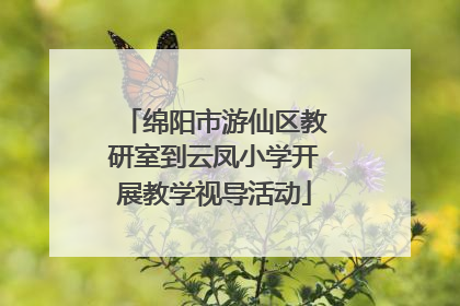 绵阳市游仙区教研室到云凤小学开展教学视导活动