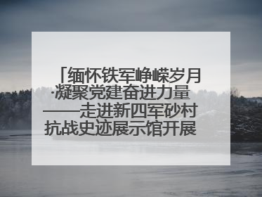 缅怀铁军峥嵘岁月·凝聚党建奋进力量——走进新四军砂村抗战史迹展示馆开展主题教育