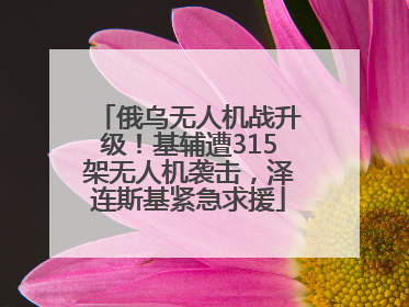 俄乌无人机战升级！基辅遭315架无人机袭击，泽连斯基紧急求援
