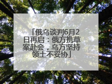 俄乌谈判6月2日再启：俄方携草案赴会，乌方坚持领土不妥协