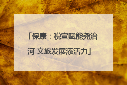 保康：税宣赋能尧治河 文旅发展添活力