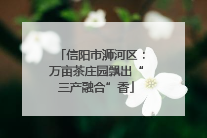 信阳市浉河区：万亩茶庄园飘出“三产融合”香