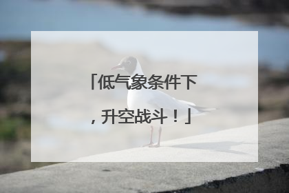 低气象条件下，升空战斗！