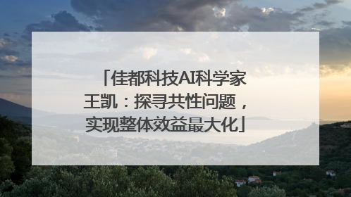 佳都科技AI科学家王凯：探寻共性问题，实现整体效益最大化