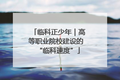 临科正少年｜高等职业院校建设的“临科速度”
