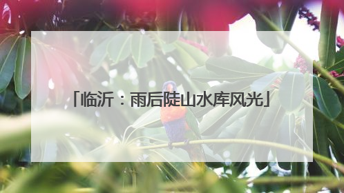 临沂：雨后陡山水库风光