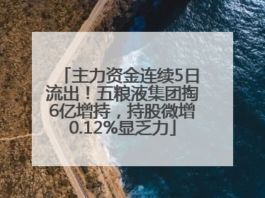 主力资金连续5日流出！五粮液集团掏6亿增持，持股微增0.12%显乏力