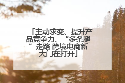 主动求变、提升产品竞争力、“多条腿”走路 跨境电商新大门在打开