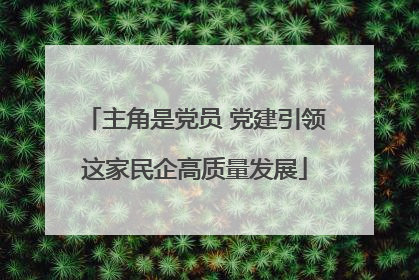 主角是党员 党建引领这家民企高质量发展