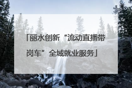 丽水创新“流动直播带岗车”全域就业服务