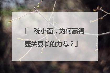 一碗小面，为何赢得壶关县长的力荐？