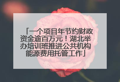 一个项目年节约财政资金逾百万元！湖北举办培训班推进公共机构能源费用托管工作
