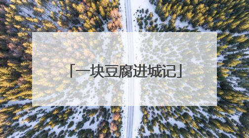 一块豆腐进城记