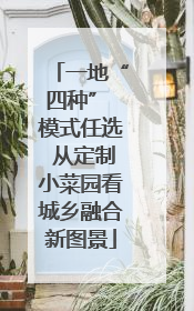 一地“四种” 模式任选 从定制小菜园看城乡融合新图景