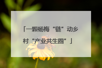 一颗杨梅“链”动乡村“产业共生圈”