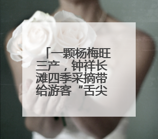 一颗杨梅旺三产，钟祥长滩四季采摘带给游客“舌尖上的惊喜”