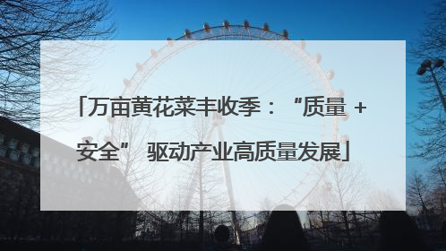 万亩黄花菜丰收季：“质量 + 安全” 驱动产业高质量发展