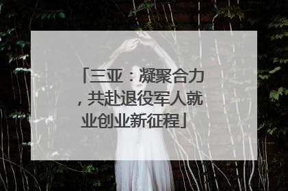 三亚：凝聚合力，共赴退役军人就业创业新征程