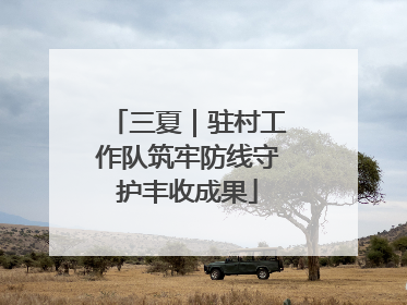 三夏｜驻村工作队筑牢防线守护丰收成果