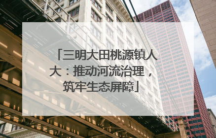 三明大田桃源镇人大：推动河流治理，筑牢生态屏障