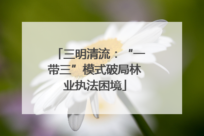三明清流：“一带三”模式破局林业执法困境