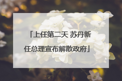 上任第二天 苏丹新任总理宣布解散政府