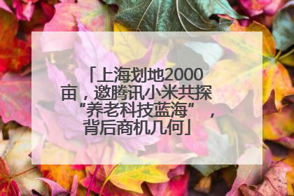 上海划地2000亩，邀腾讯小米共探“养老科技蓝海”，背后商机几何
