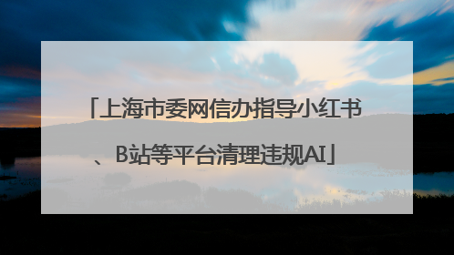 上海市委网信办指导小红书、B站等平台清理违规AI