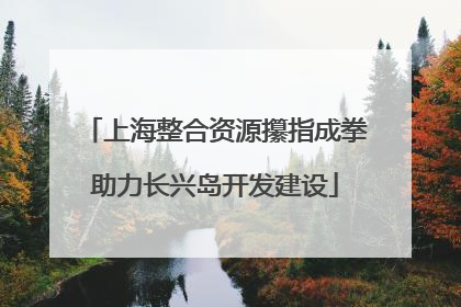 上海整合资源攥指成拳助力长兴岛开发建设