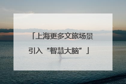 上海更多文旅场景引入“智慧大脑”