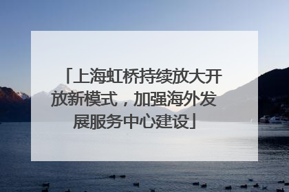 上海虹桥持续放大开放新模式，加强海外发展服务中心建设