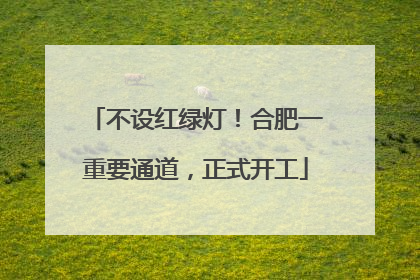 不设红绿灯！合肥一重要通道，正式开工