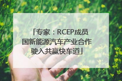 专家：RCEP成员国新能源汽车产业合作驶入共赢快车道