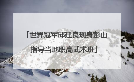 世界冠军邱建良现身彭山 指导当地职高武术班