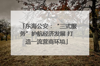 东海公安：“三式服务”护航经济发展 打造一流营商环境
