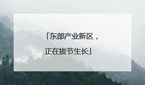 东部产业新区，正在拔节生长