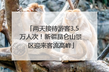 两天接待游客3.5万人次！新疆昆仑山景区迎来客流高峰