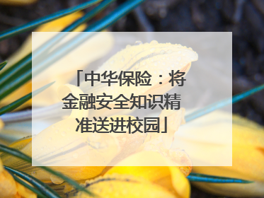 中华保险：将金融安全知识精准送进校园