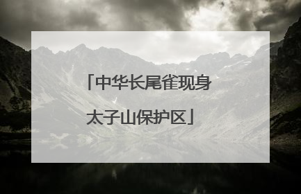 中华长尾雀现身太子山保护区